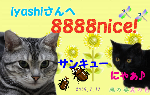 8888iyashisan.jpg