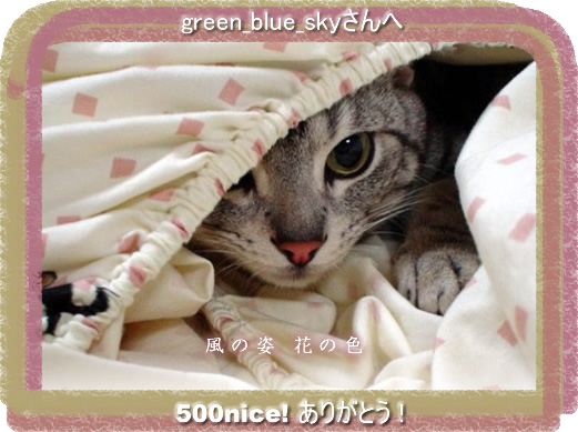 green_blue_sky500.jpg